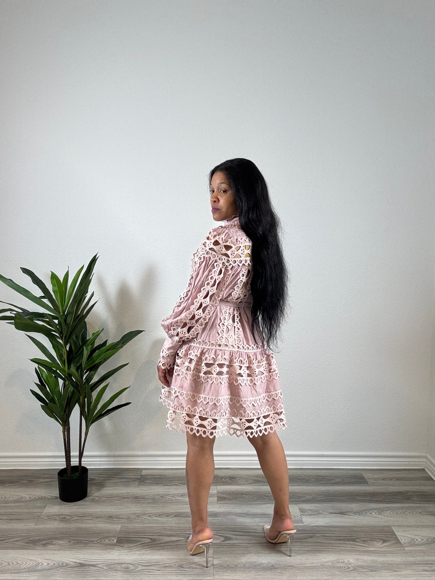 Amara | Covered & Chosen - Long Sleeve Belted Button Dress (Blush)