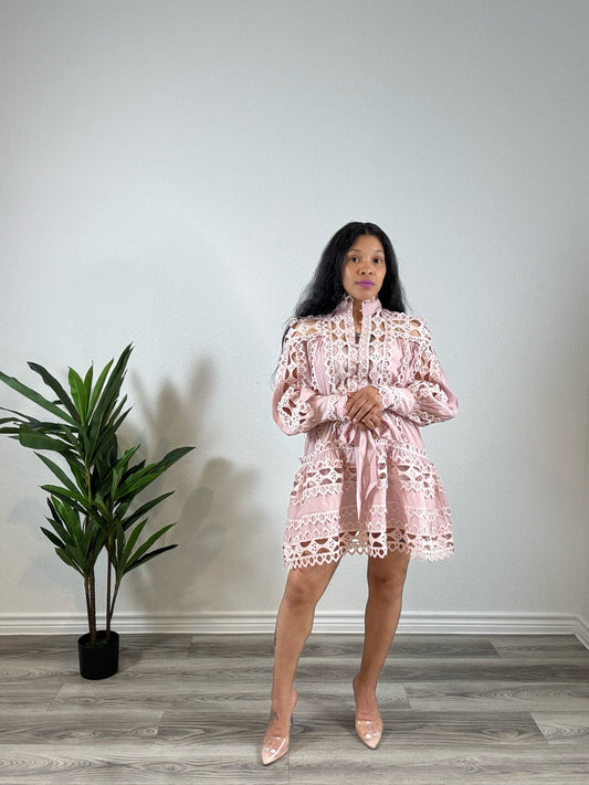 Amara | Covered & Chosen - Long Sleeve Belted Button Dress (Blush)