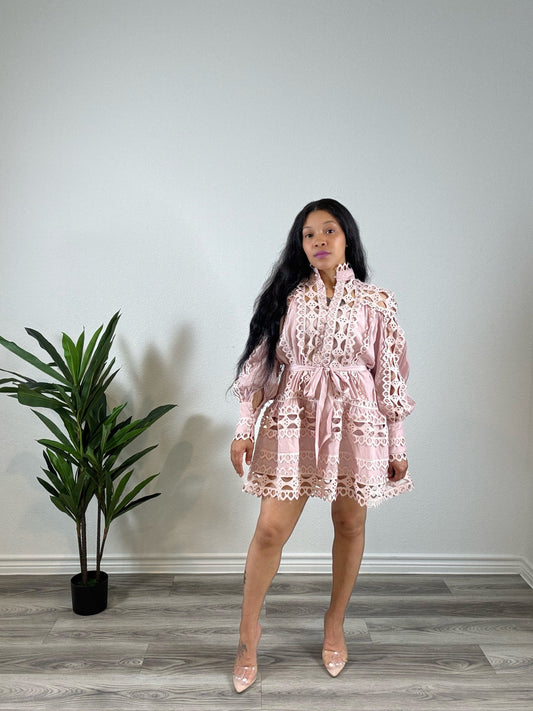 Amara | Covered & Chosen - Long Sleeve Belted Button Dress (Blush)